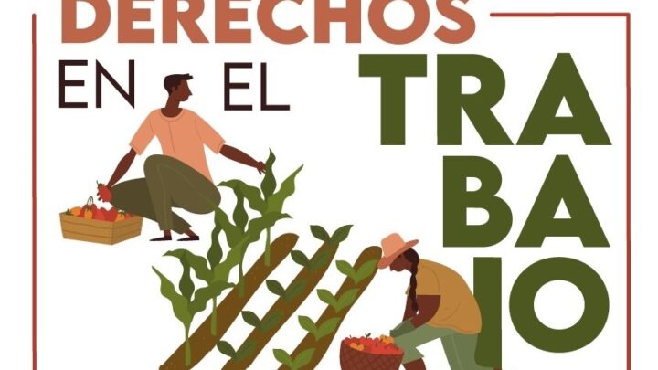 Trabajadores temporeros en agricultura o agroalimentación en Francia : cuáles son sus derechos básicos
